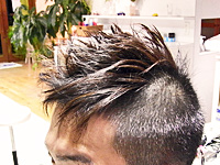 model-2.jpg model-2.jpg